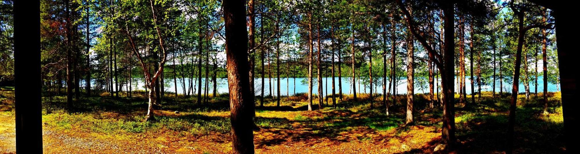 Ukonjaerven Holiday Village Ivalo Room photo